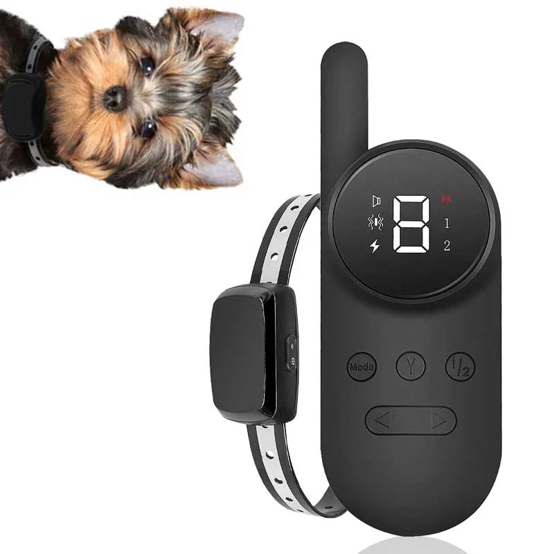 best-training-collar-for-small-dogs