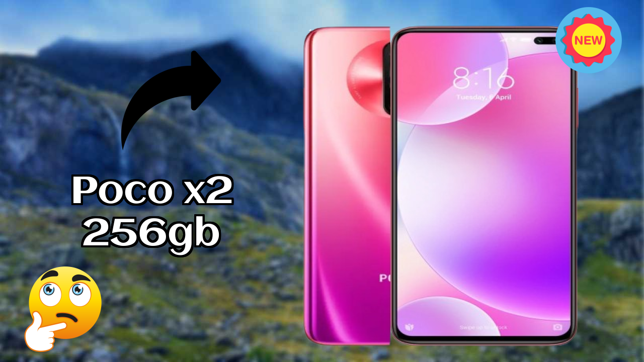 POCO X2 256GB Camera Review: 64 MP + 8 MP + 2 MP + 2 MP Rear Camera Photo Quality